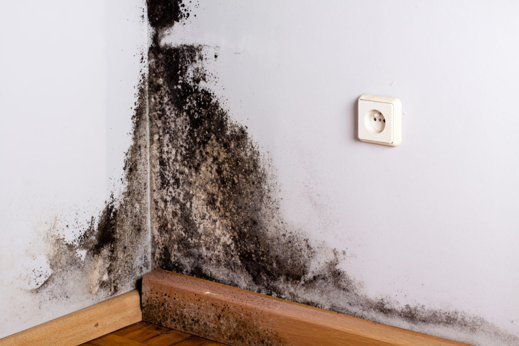 damp-proofing-company